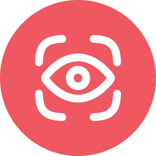 Vision Icon